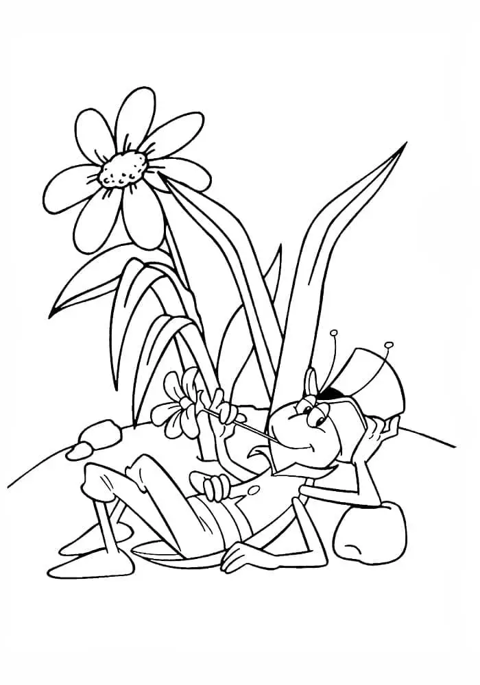 Maja a méhecske Flip