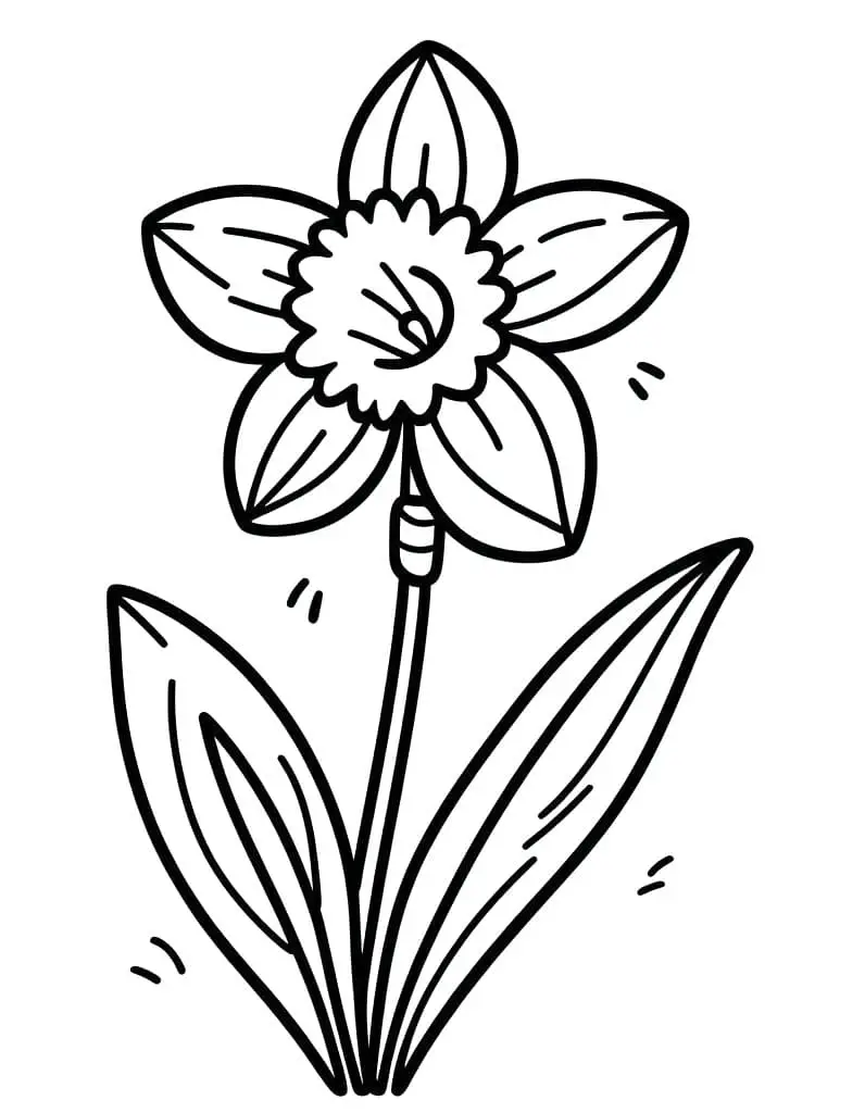 Nárcisz Ingyenes Nyomtatható