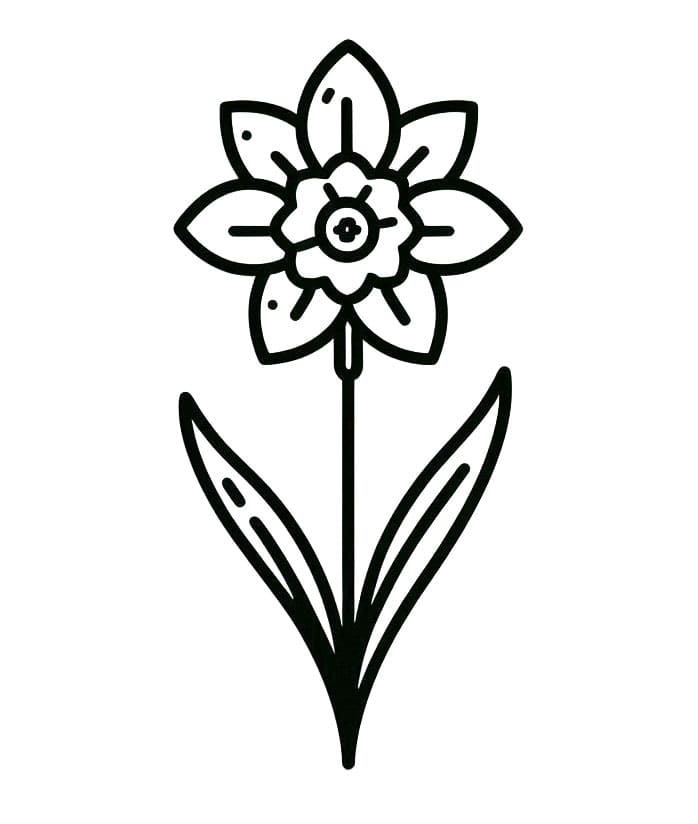 Nyomtatható Ingyenes Nárcisz