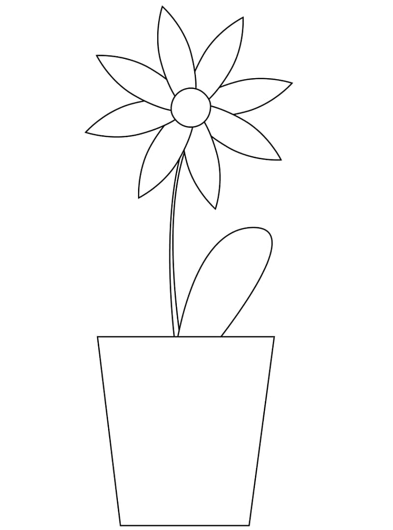 Nyomtatható Százszorszép Ajándékba