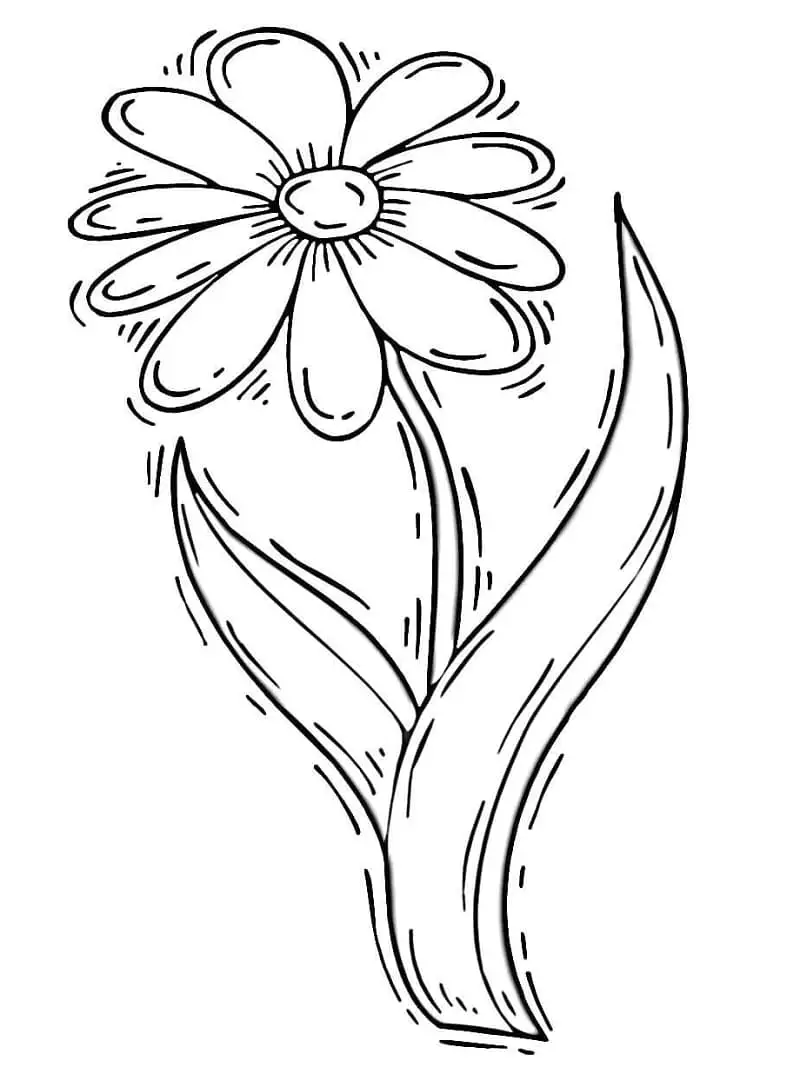 Százszorszép Színezésre