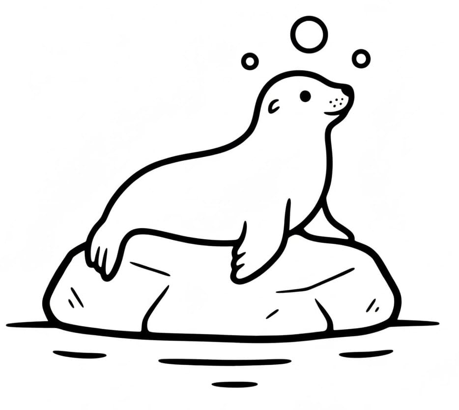 Basik Oroszlánfóka