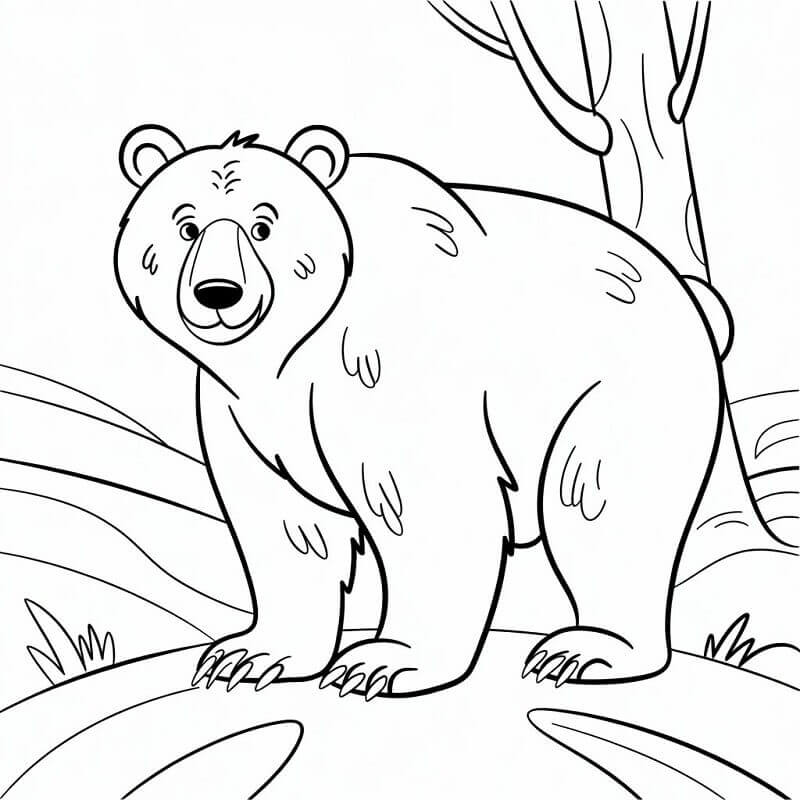 Egy Vadon élő Medve