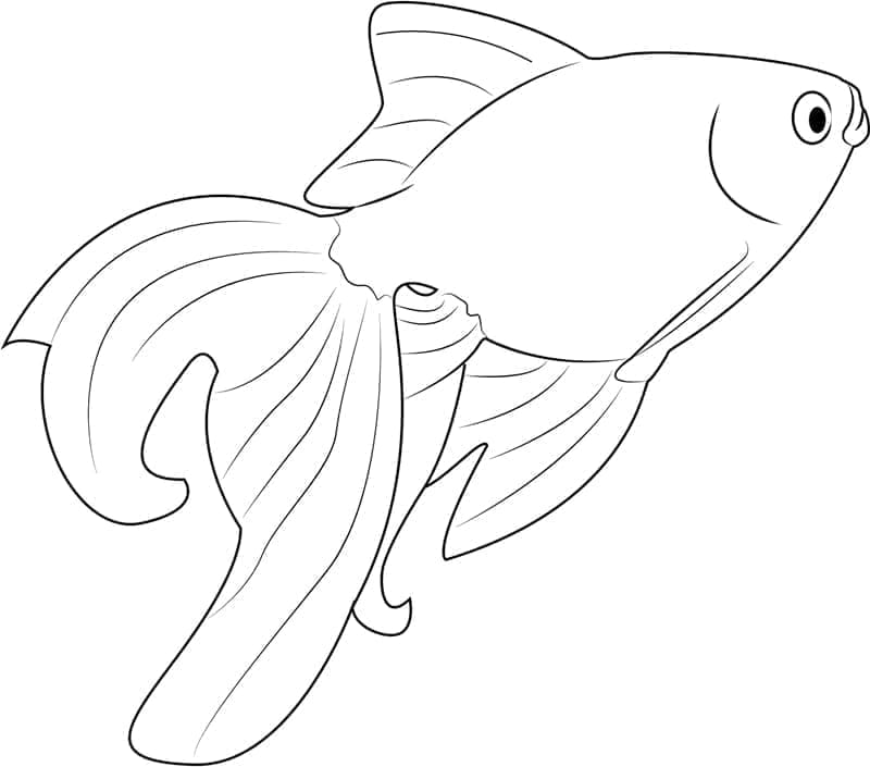 Egyszerű Aranyhal Gyerekeknek