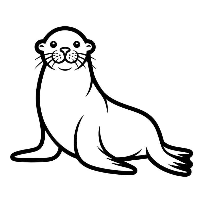 Egyszerű Oroszlánfóka