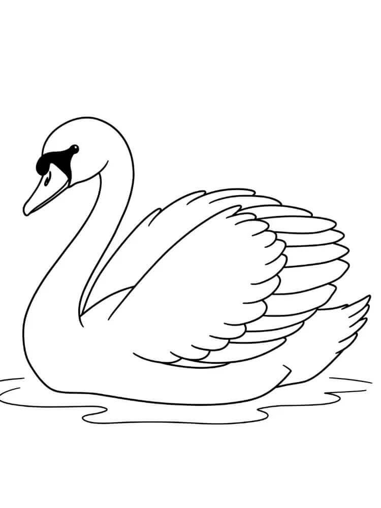 Fantasztikus Hattyú