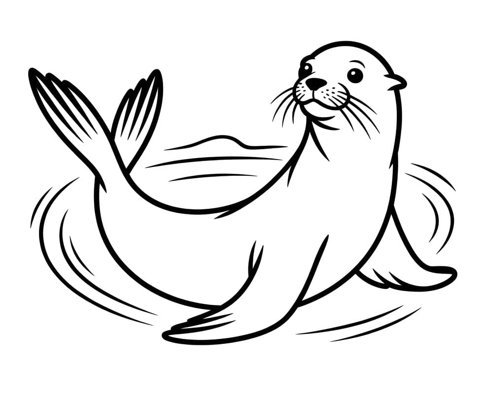 Grátisz Oroszlánfóka