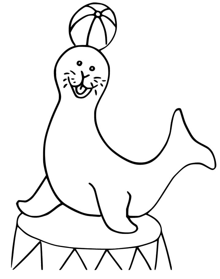 Hahotázó Oroszlánfóka