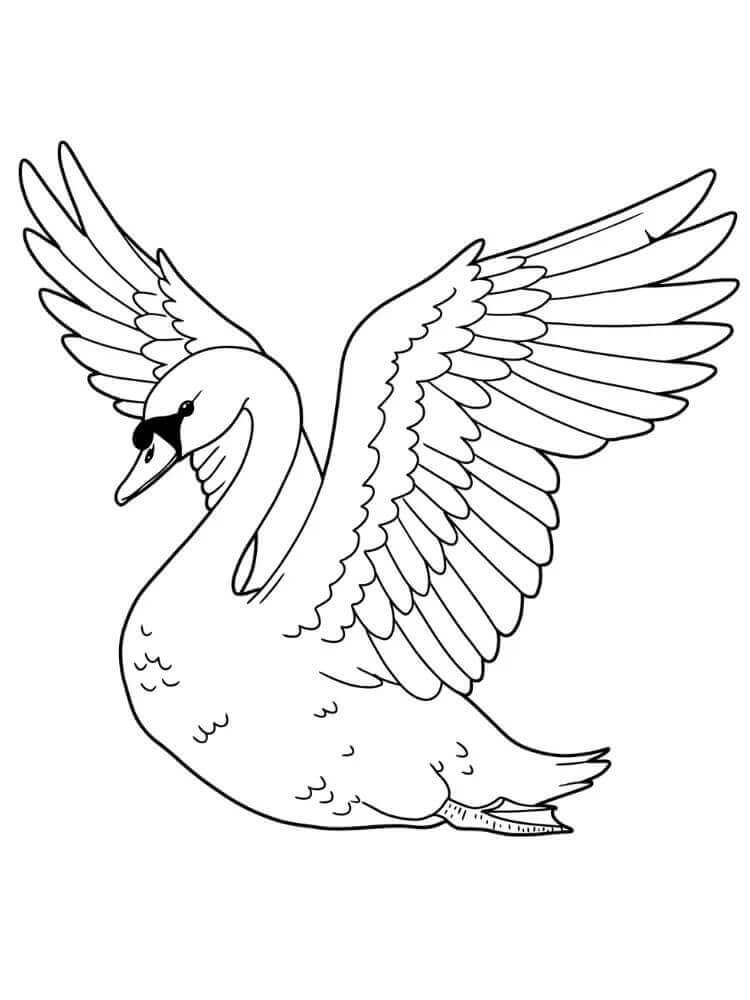 Hattyú 2 Éves Gyerekeknek