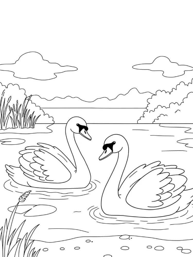 Hattyú 3 Éves Gyerekeknek