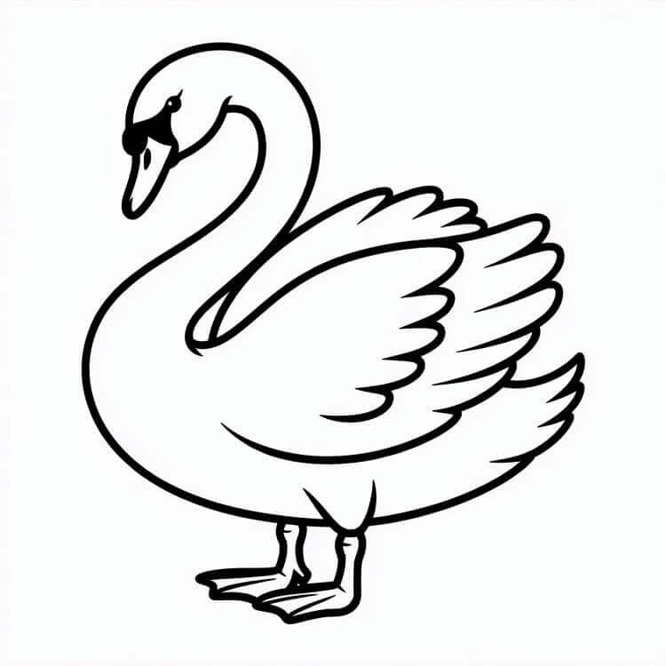 Hattyú Ingyenes Kép