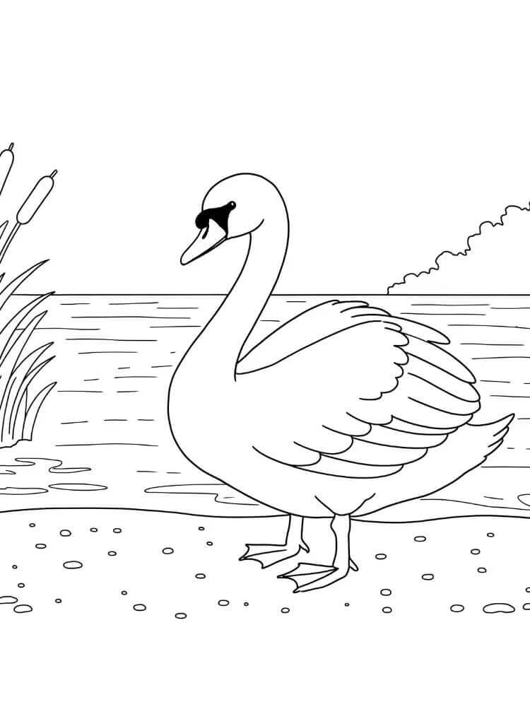 Ingyenes Hattyú Gyerekeknek