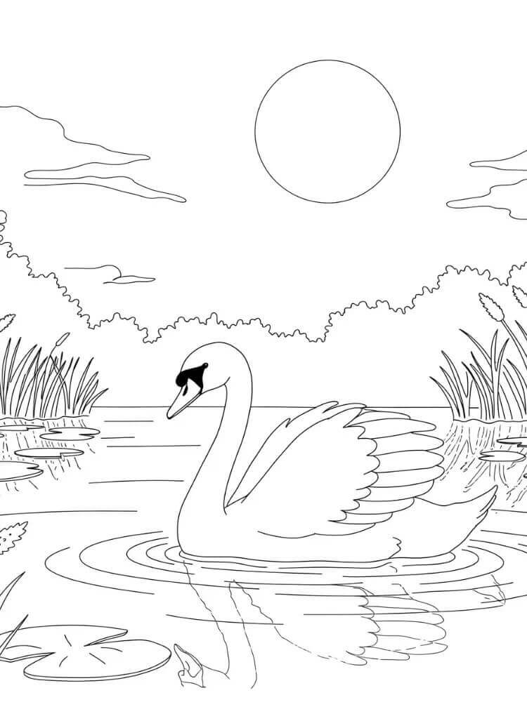 Ingyenes Hattyú Kép