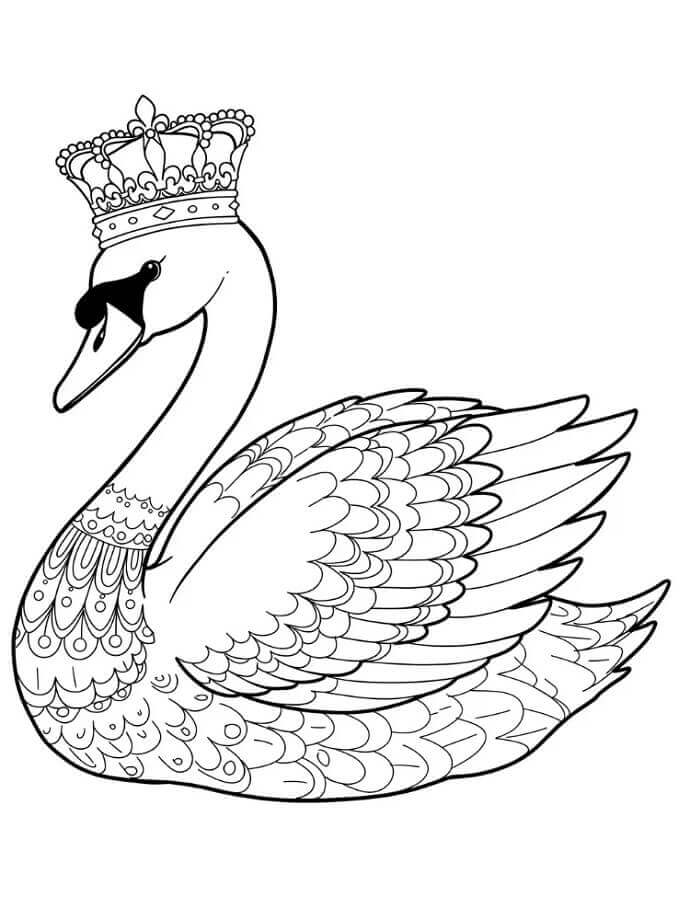 Ingyenes Hattyú Nyomtatható