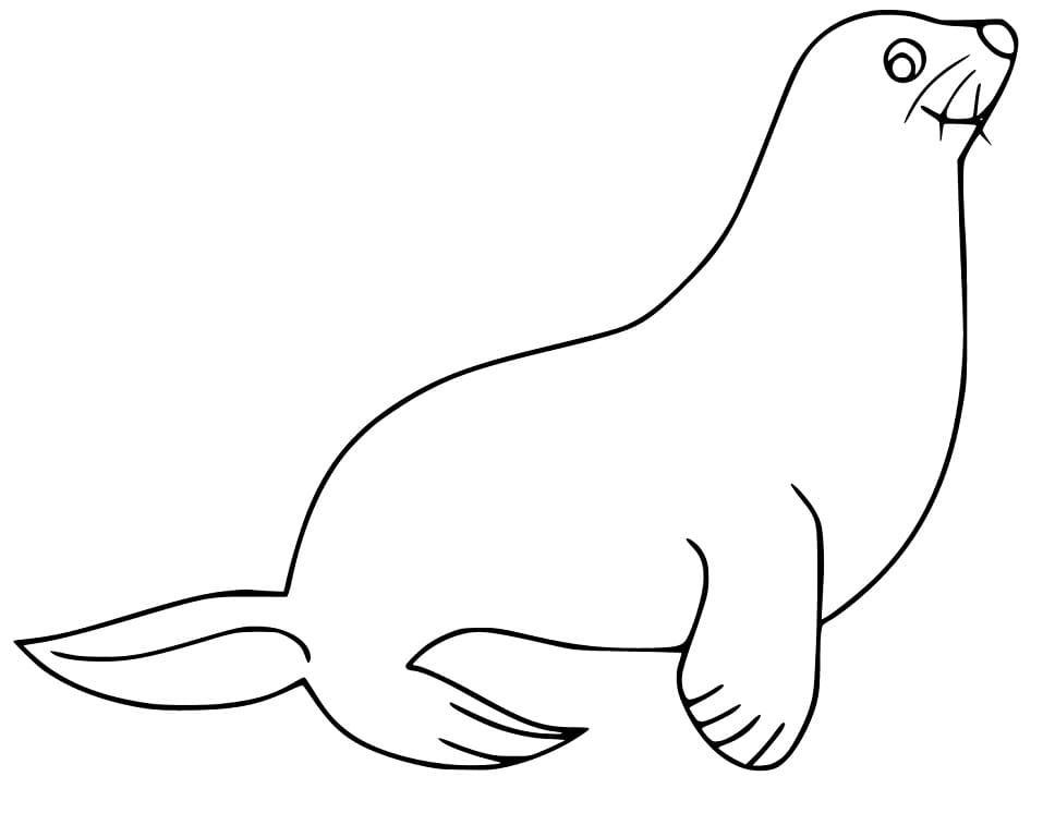 Ingyenes Oroszlánfóka