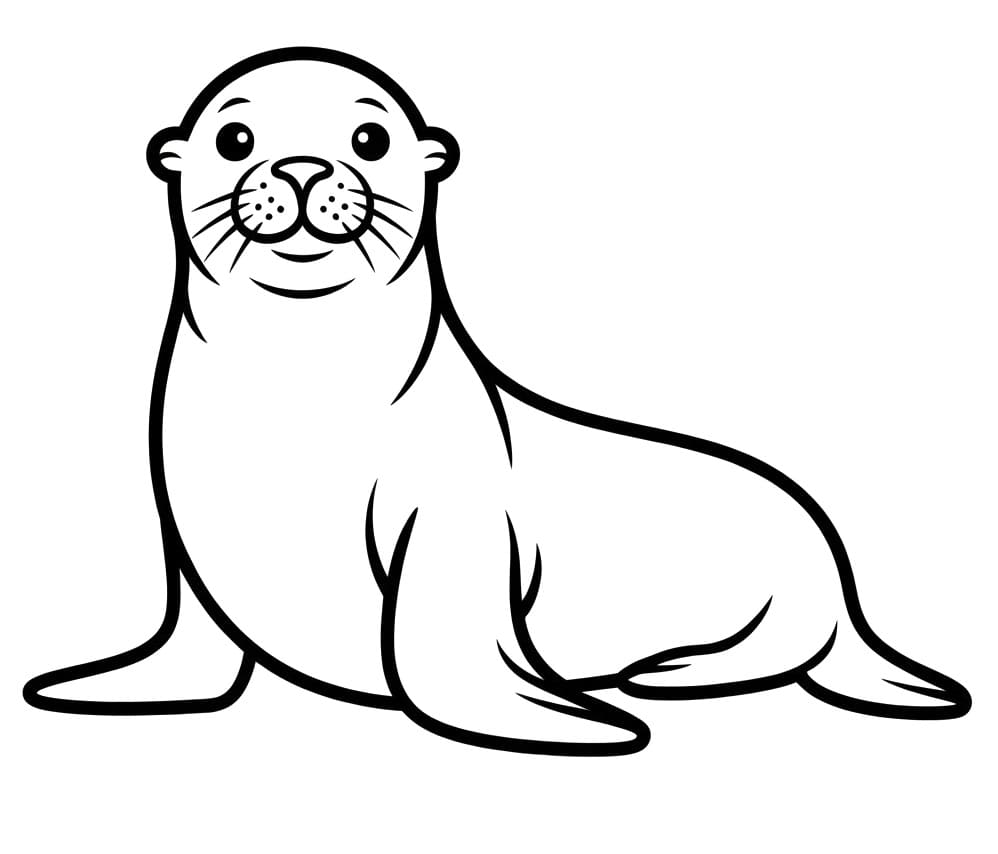 Könnyű Oroszlánfóka