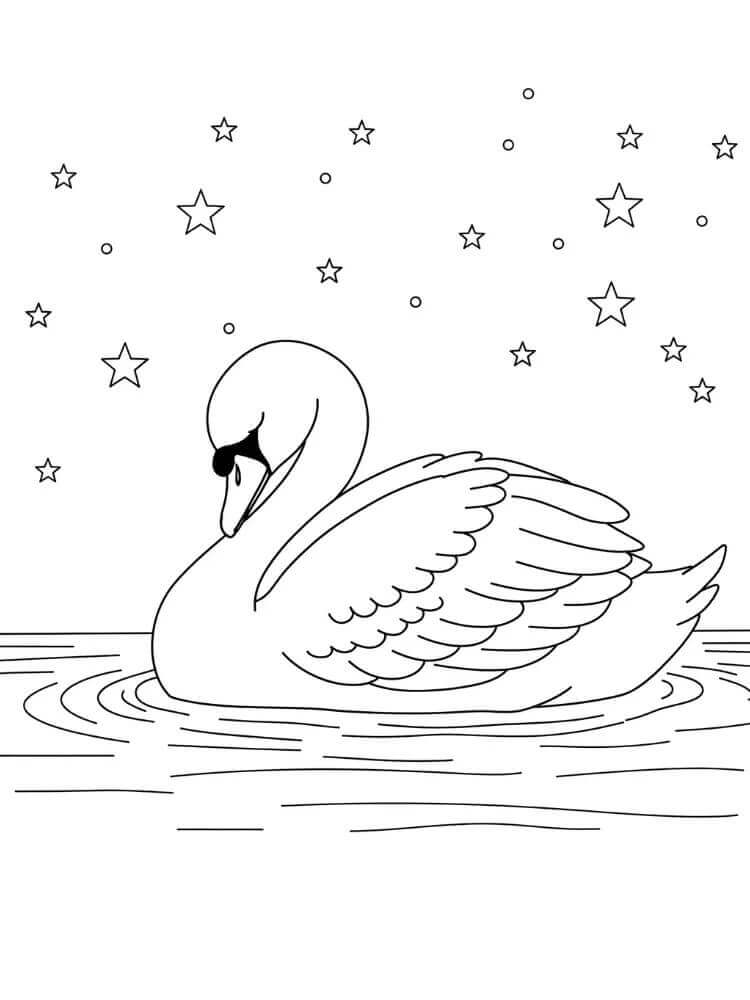 Lenyűgöző Hattyú