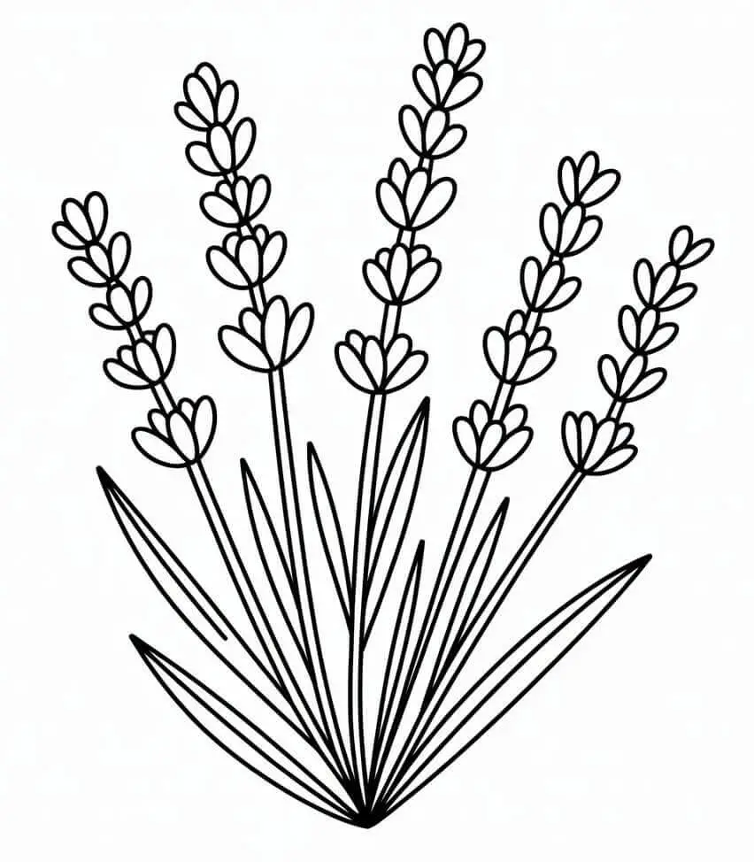 Lenyűgöző Levendula