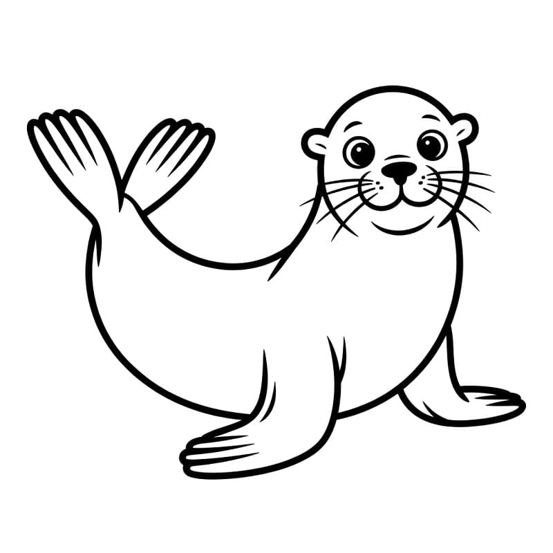 Mosolygó Oroszlánfóka