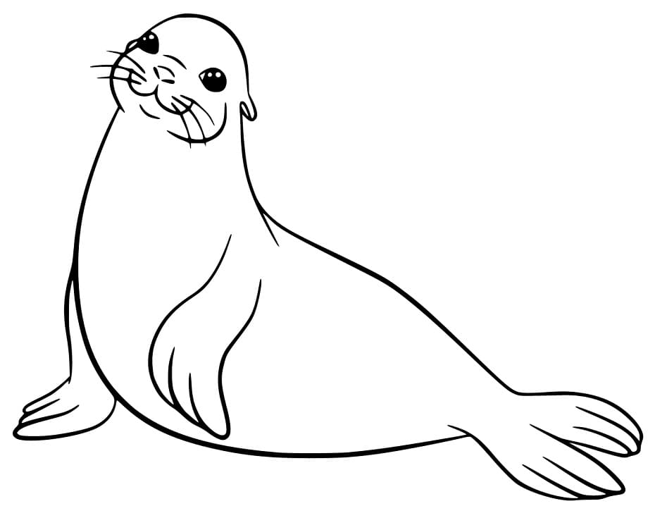 Nagyon Cuki Oroszlánfóka