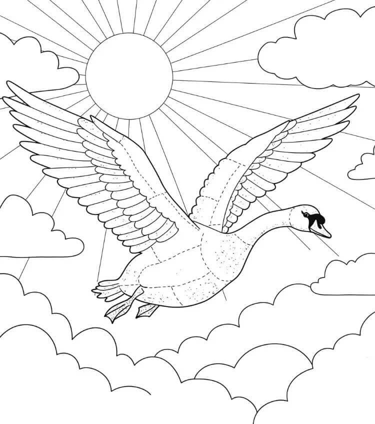 Nyomtatható Hattyú Ajándékba