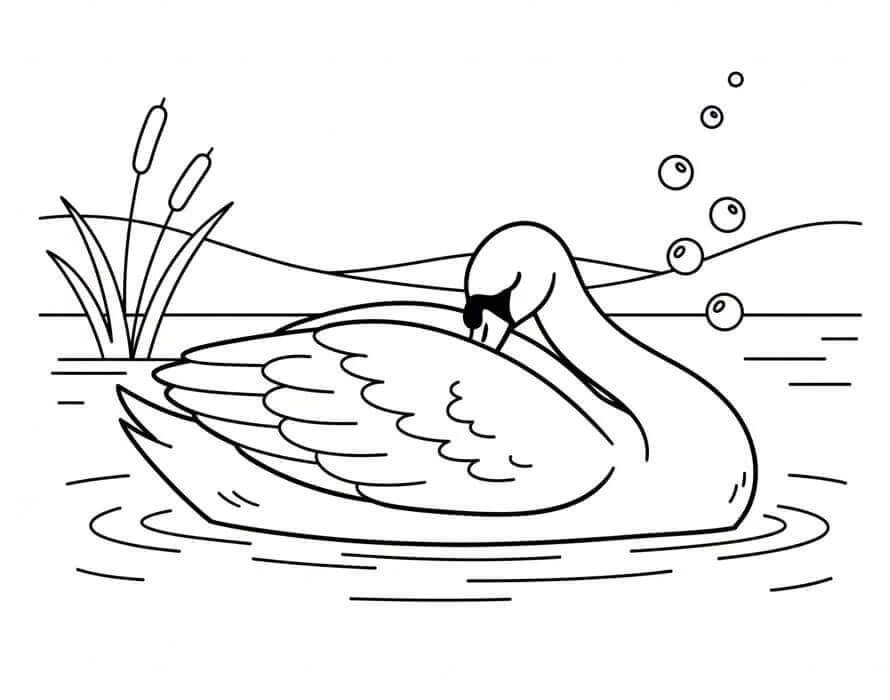 Nyomtatható Hattyú Gyerekeknek