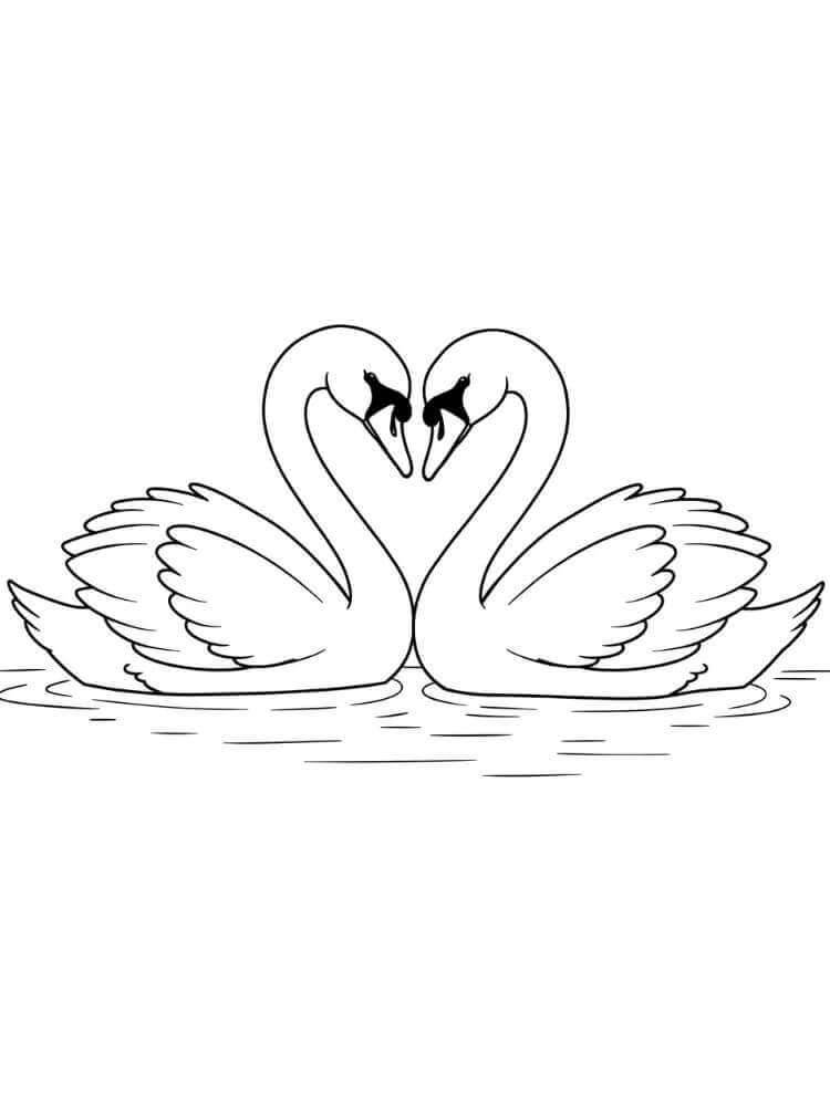 Nyomtatható Hattyú Kép