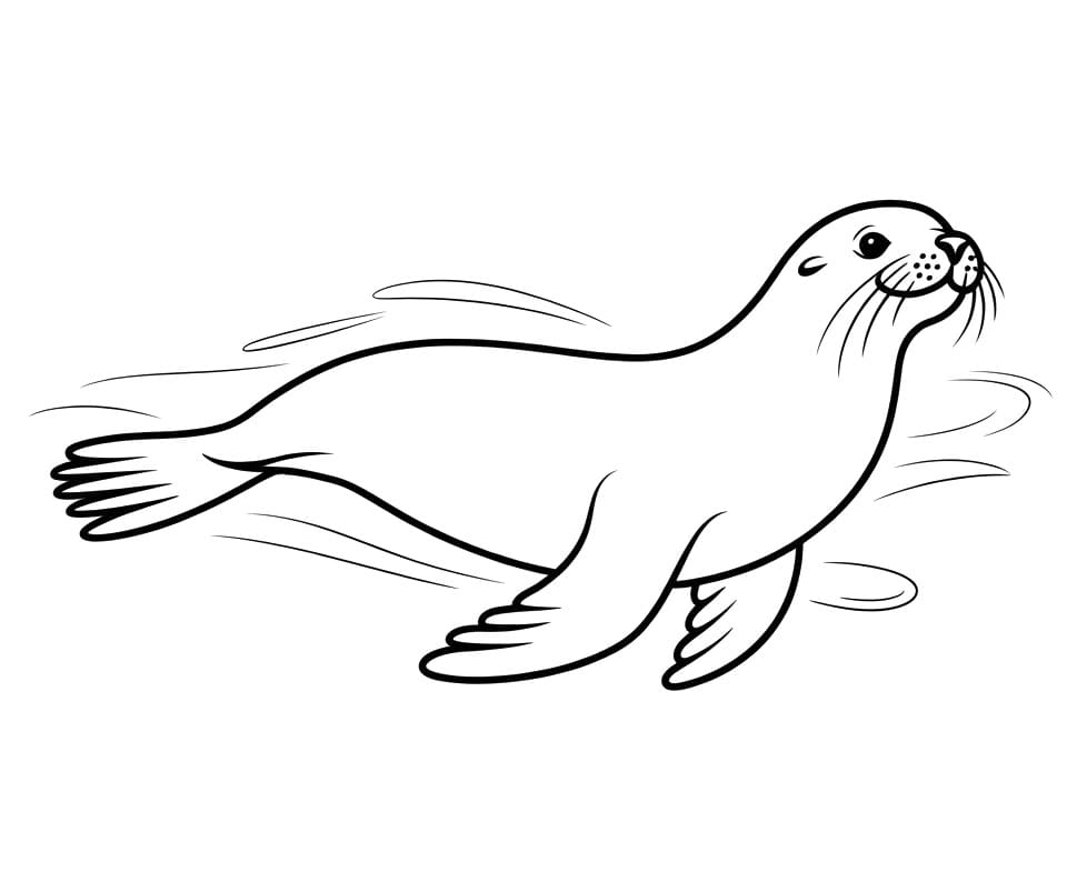 Oroszlánfóka Fotó