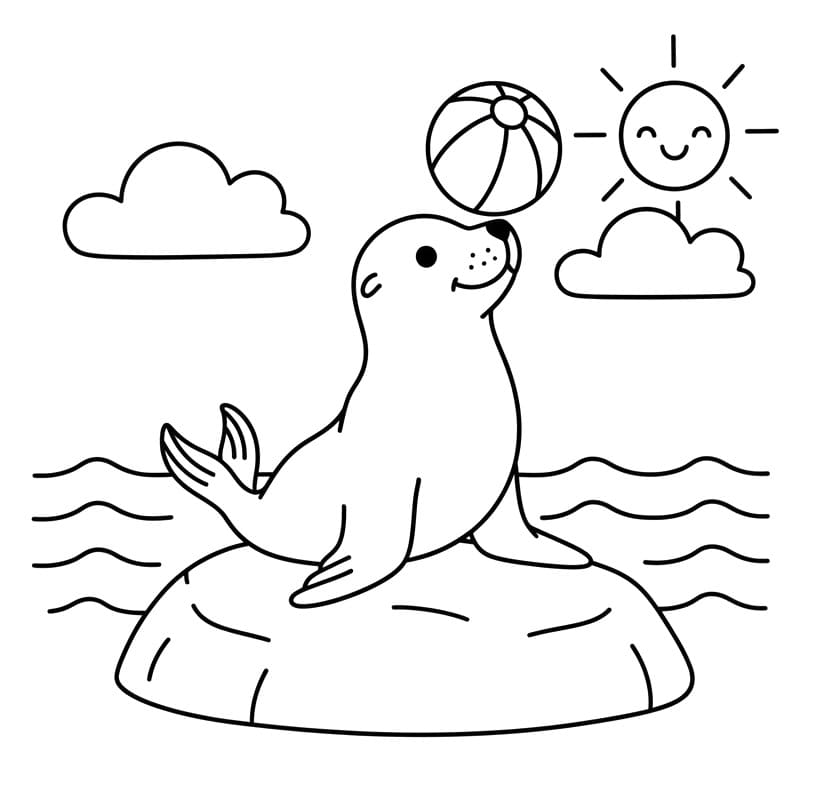 Oroszlánfóka Fotók