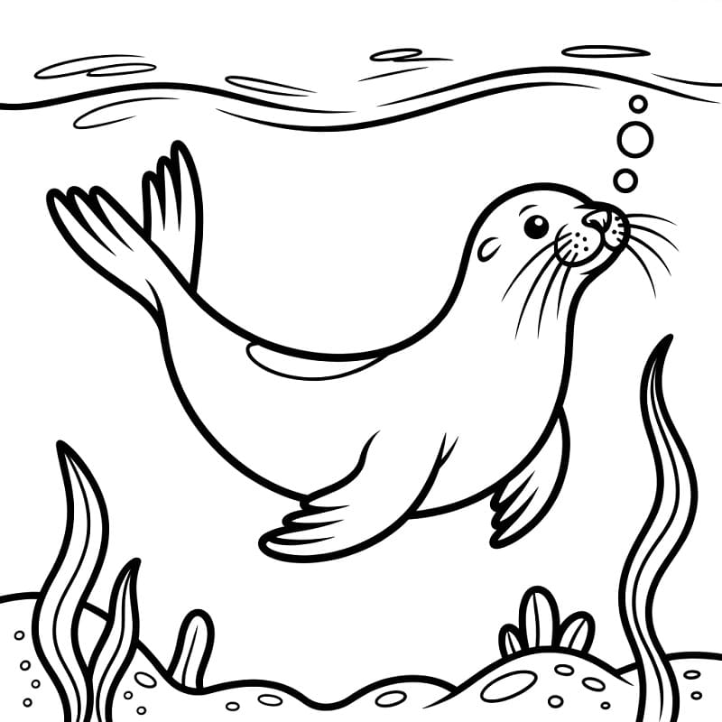 Oroszlánfóka Képek