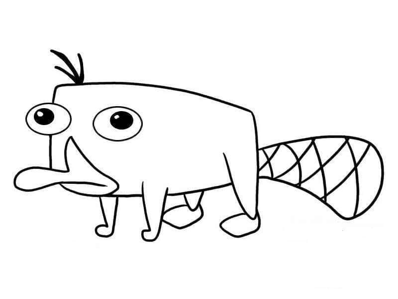 Perry Phineas és Ferbből