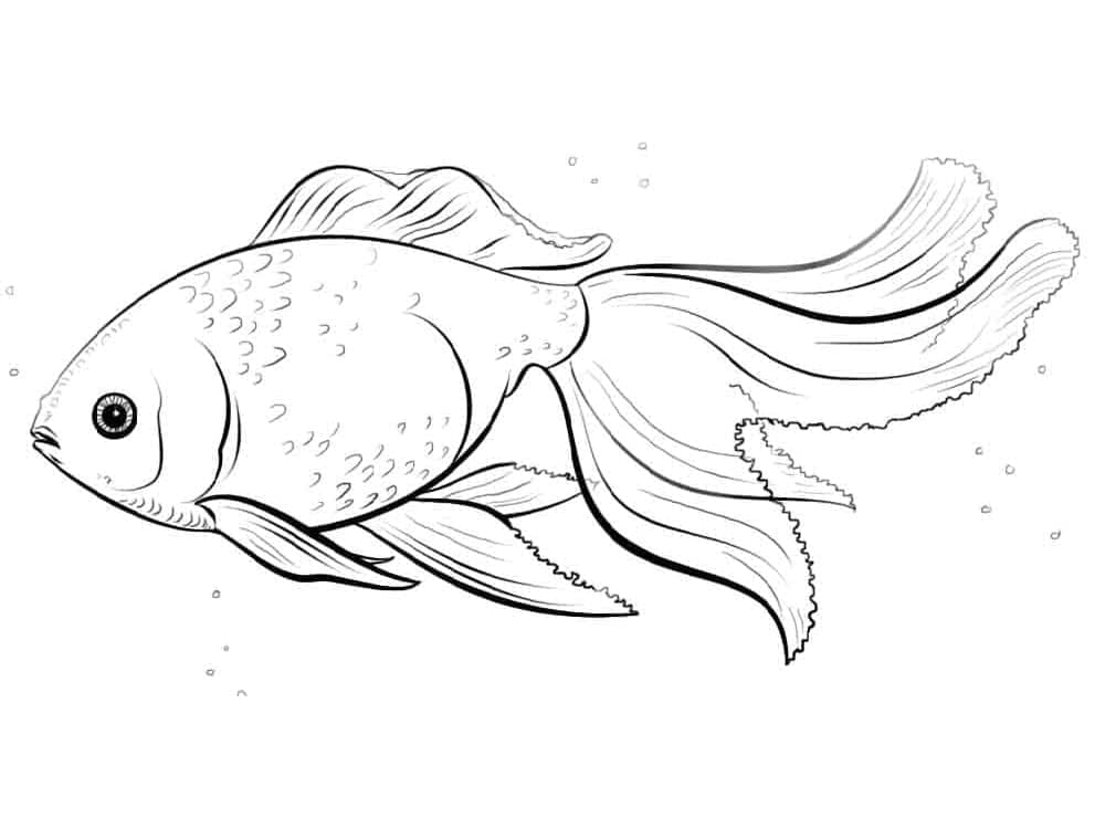 Realisztikus Aranyhal