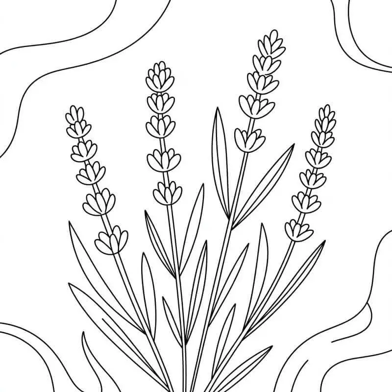 Szép Levendula Virág