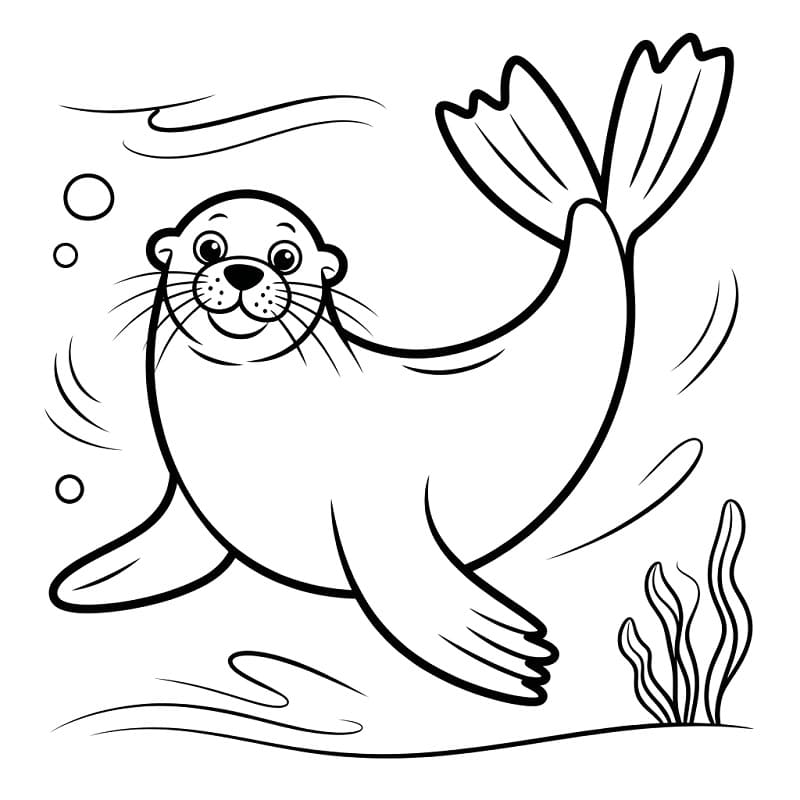 Úszó Oroszlánfóka