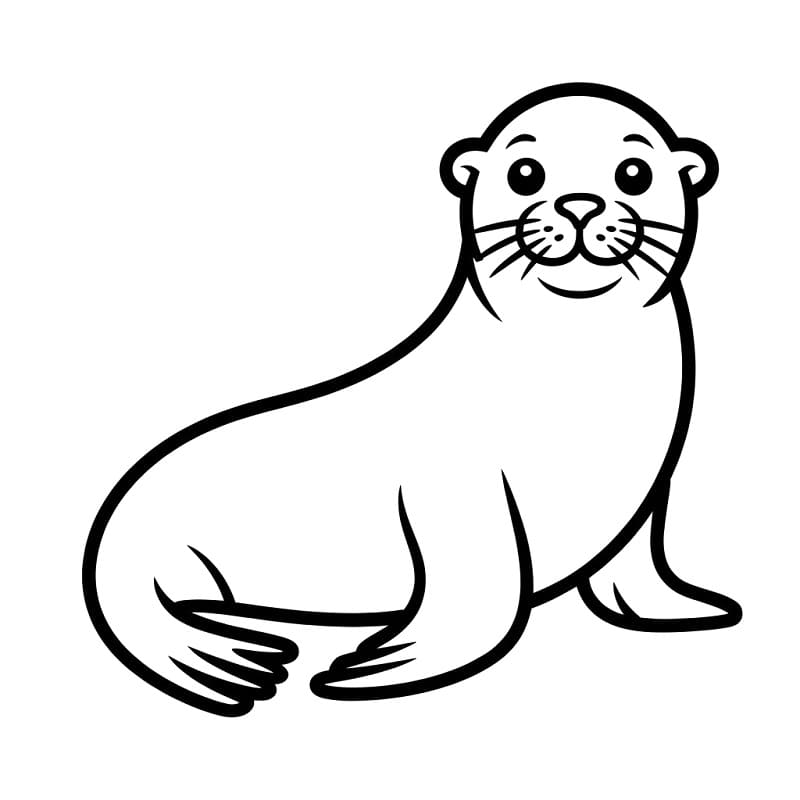 Vidám Oroszlánfóka