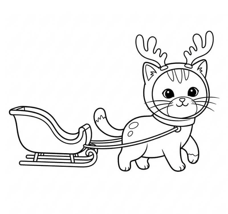 Bájos karácsonyi macska