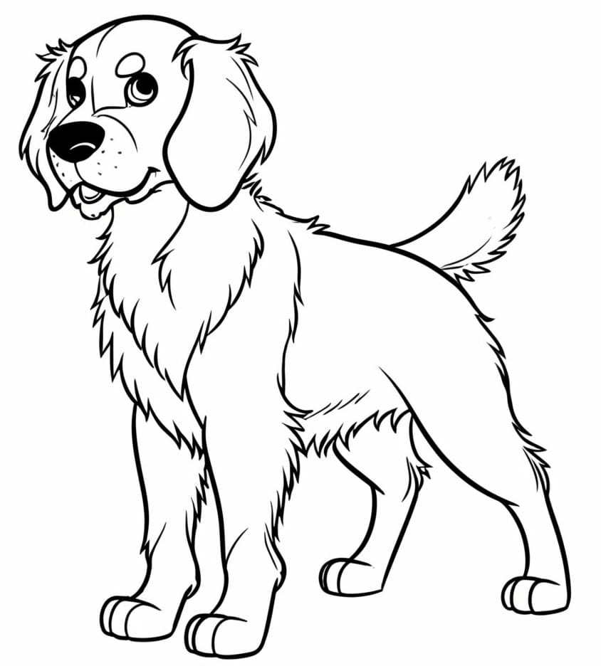 Egy Golden Retriever kutya