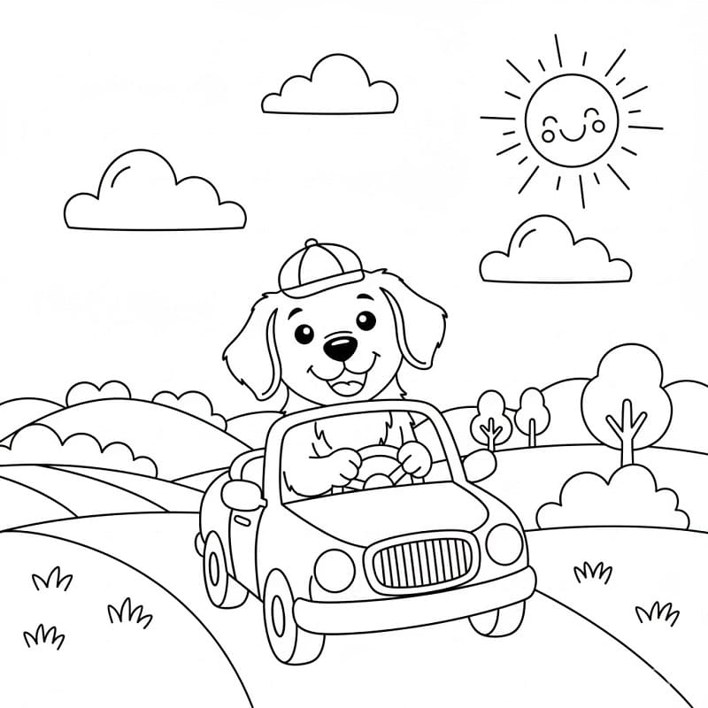 Golden Retriever autót vezet