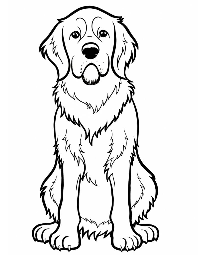 Ingyen nyomtatható Golden Retriever