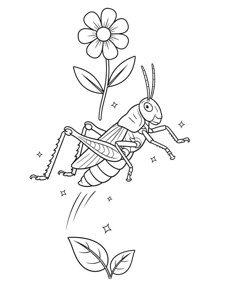 Ingyenes Nyomtatható Szöcske