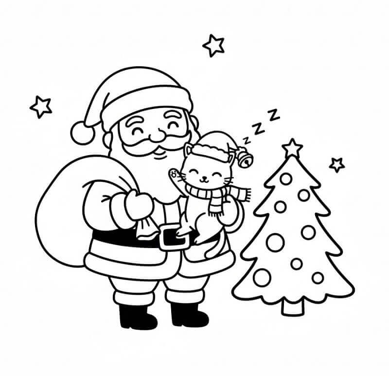 Karácsonyi macska és Mikulás