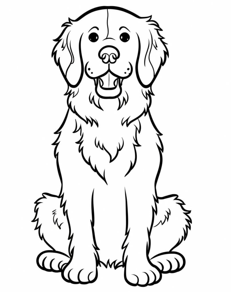 Könnyű Golden Retriever