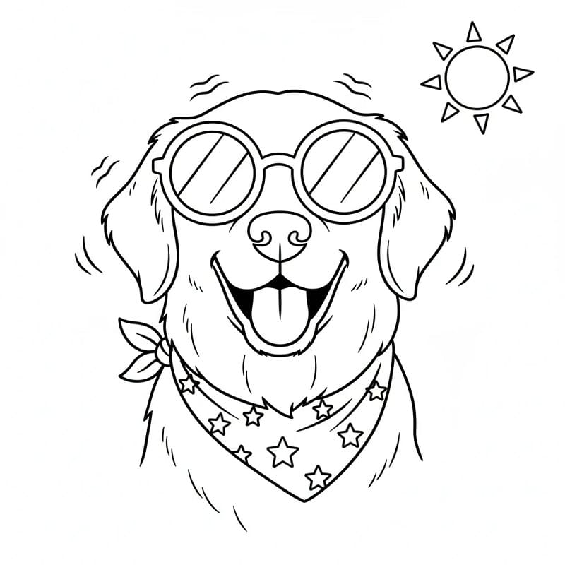 Menő Golden Retriever