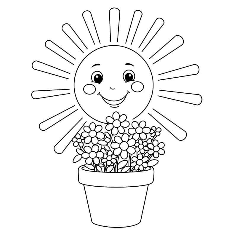 Nap és Virágcserép