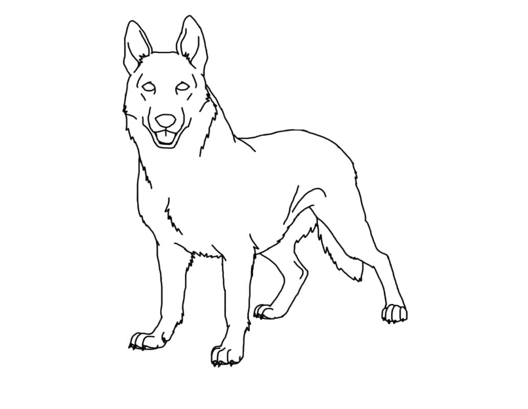 Nyomtat Németjuhász