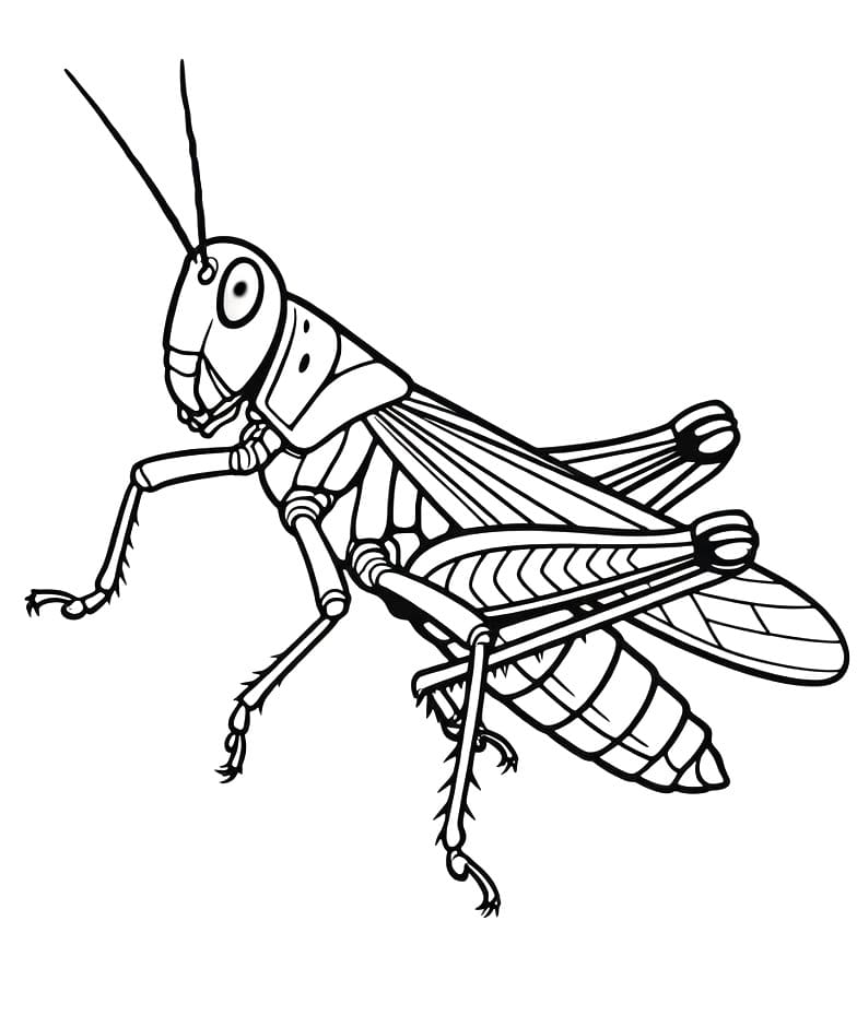 Nyomtatható Szöcske Ajándékba