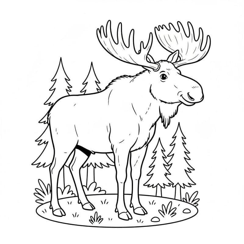 Óriás Jávorszarvas