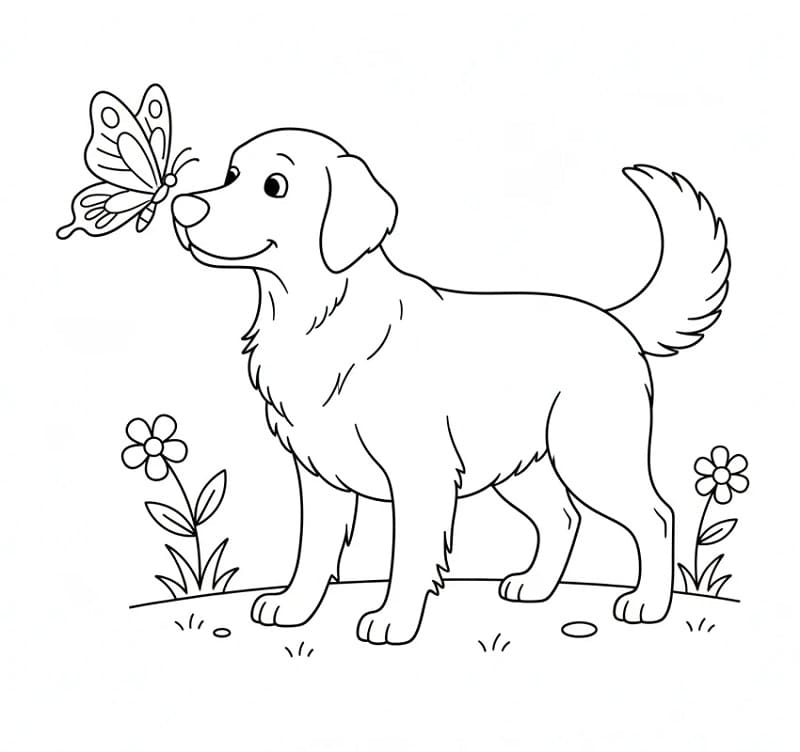 Pillangó és Golden Retriever