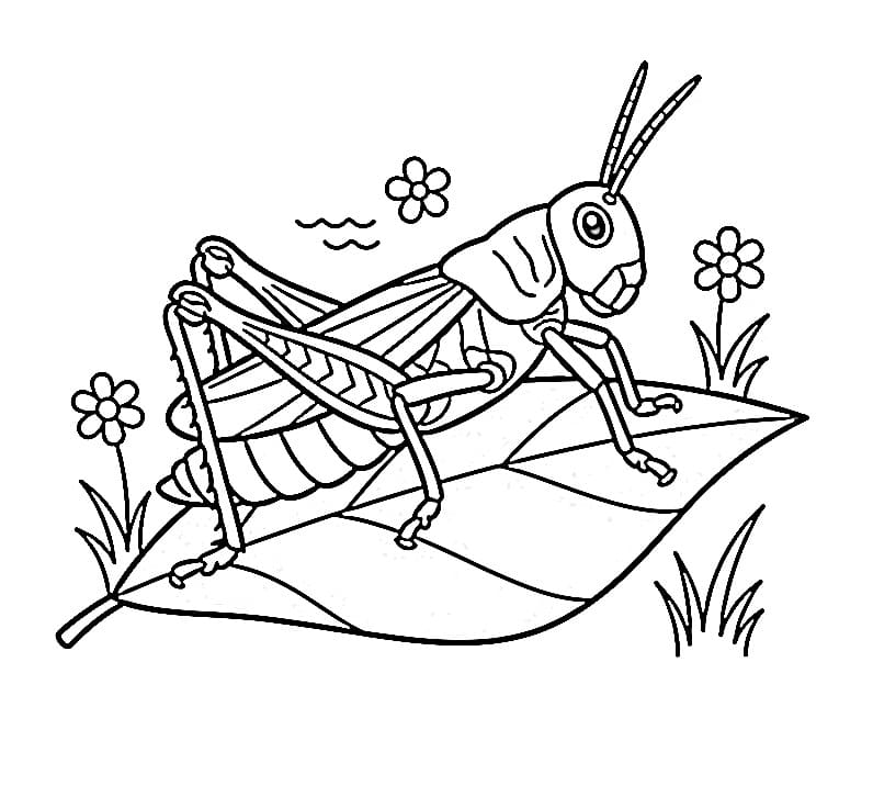 Szöcske Ingyenes Gyerekeknek