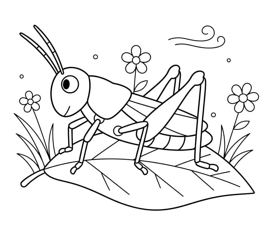 Szöcske Nyomtatásra